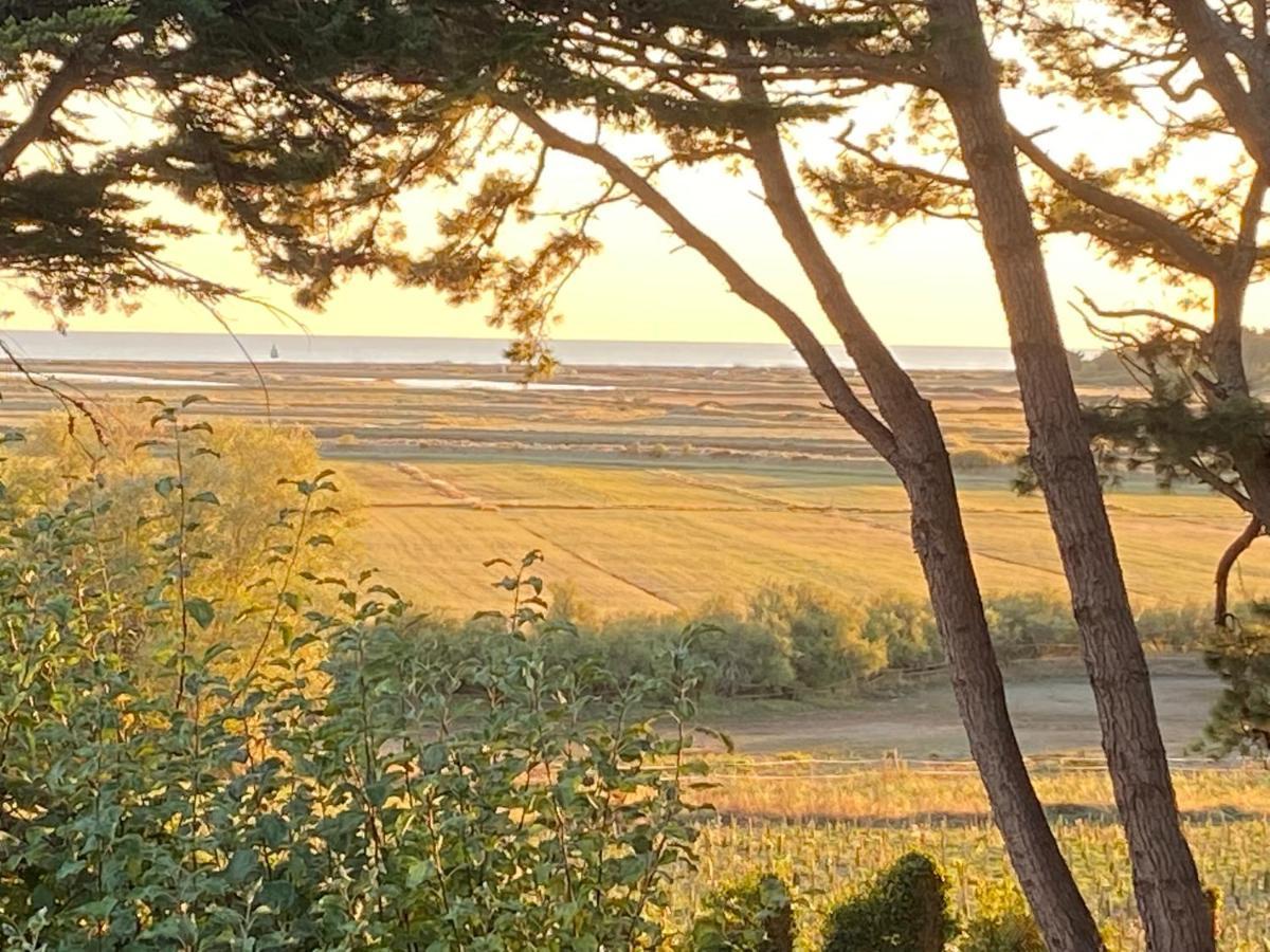 Villa Vieilles Vignes Vue Mer Billiers Zewnętrze zdjęcie