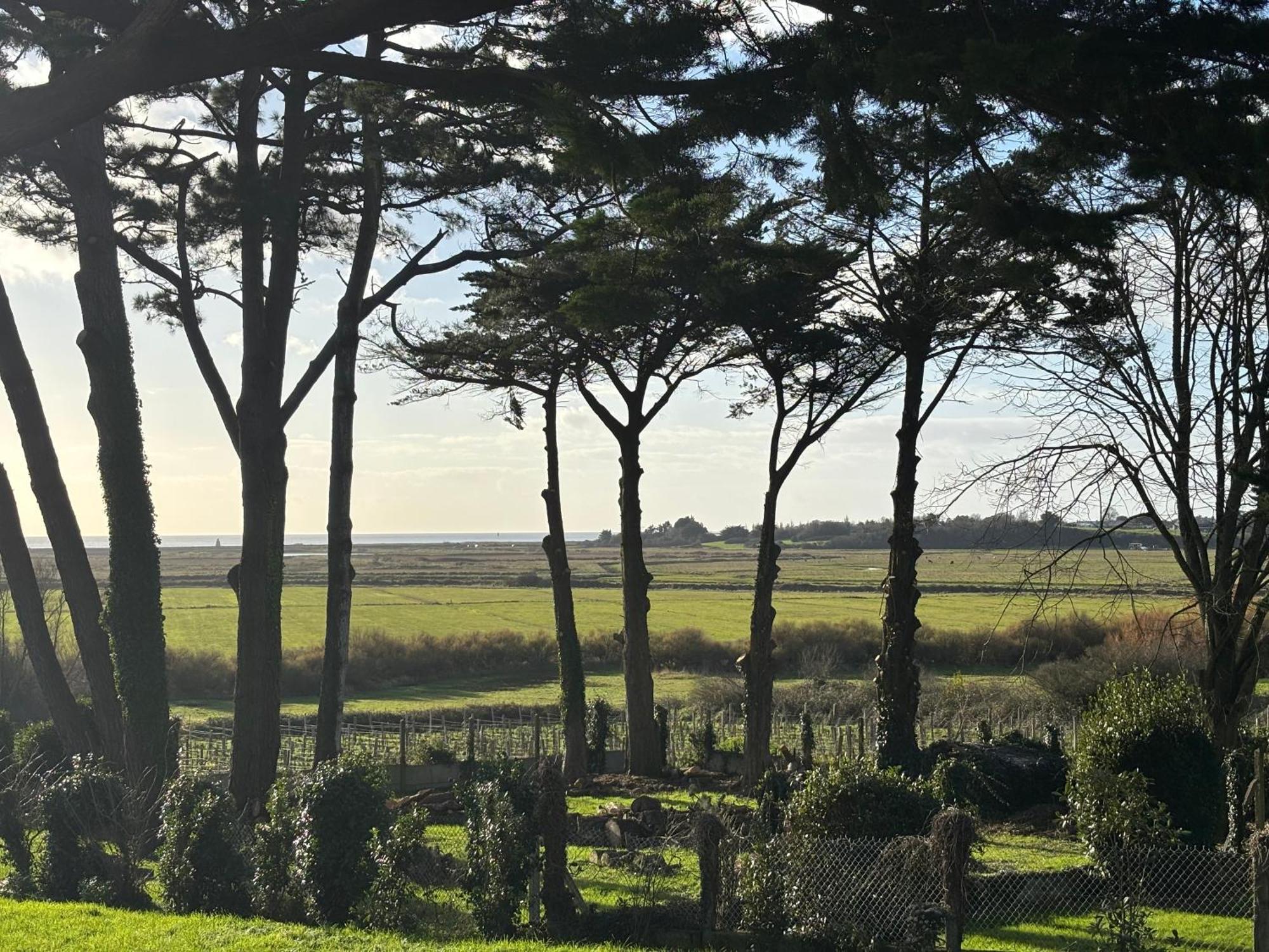 Villa Vieilles Vignes Vue Mer Billiers Zewnętrze zdjęcie